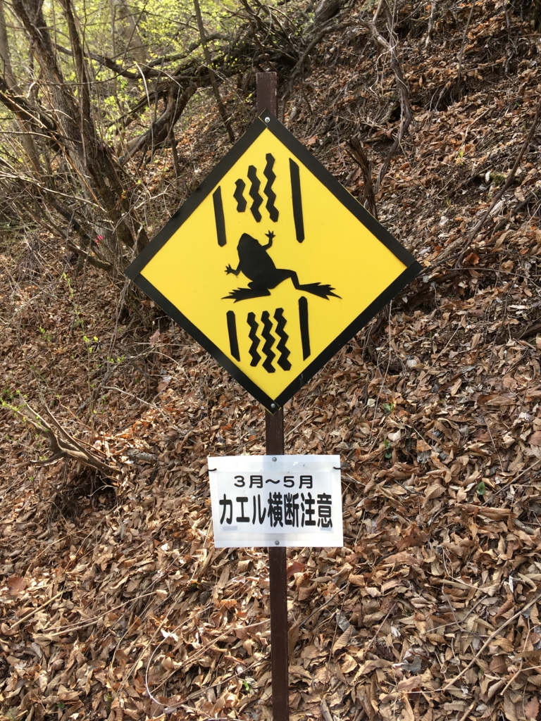 f:id:yuucamp:20170520191227j:plain