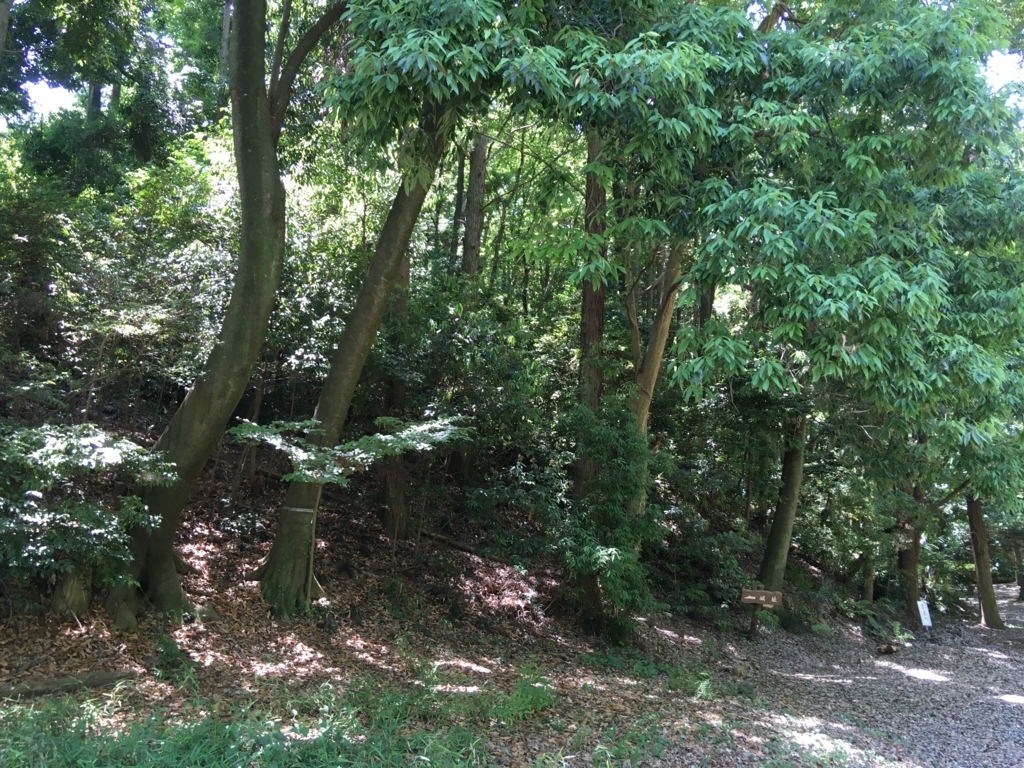 f:id:yuucamp:20170604183556j:plain