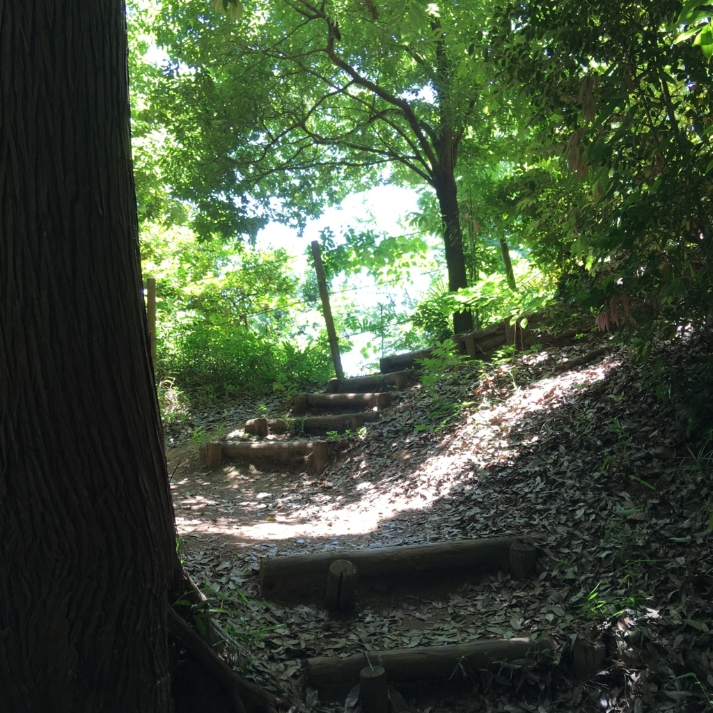 f:id:yuucamp:20170604184735j:plain