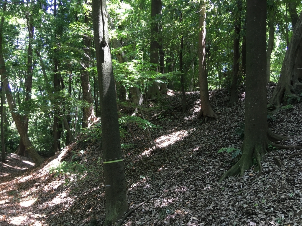 f:id:yuucamp:20170604194536j:plain