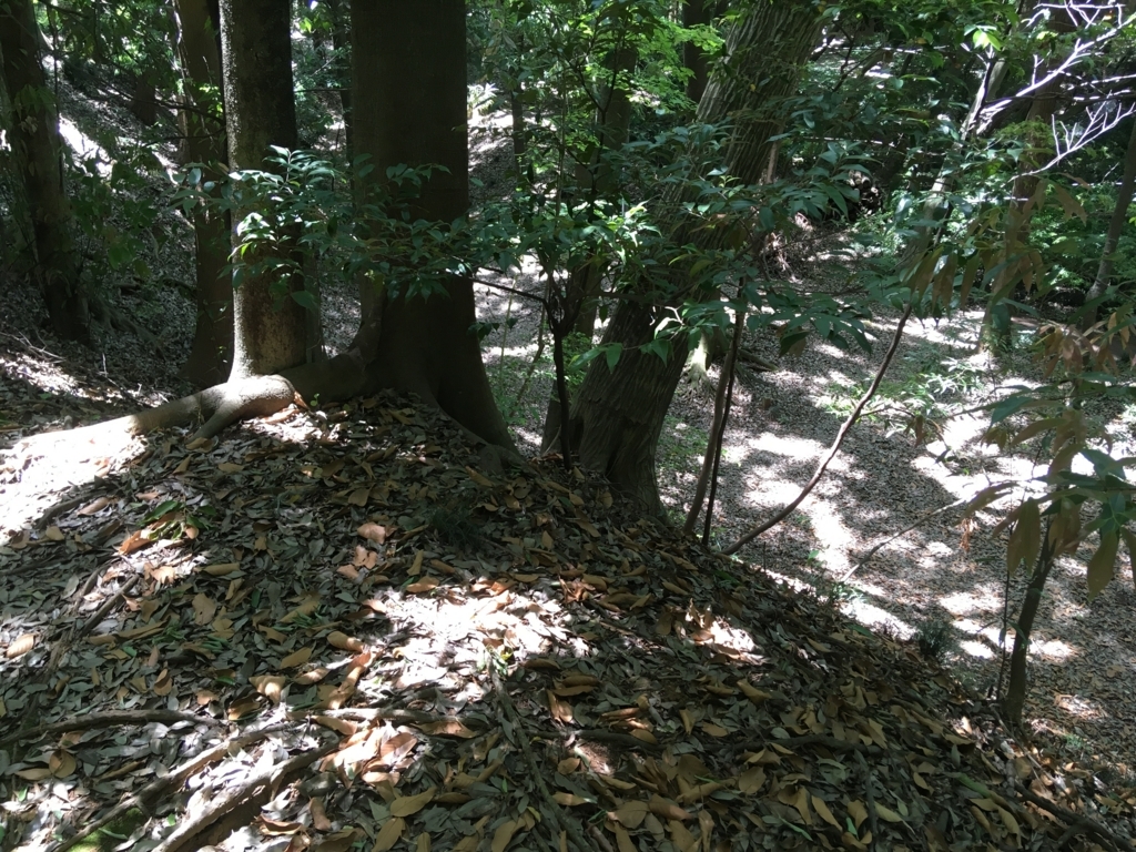 f:id:yuucamp:20170604195257j:plain