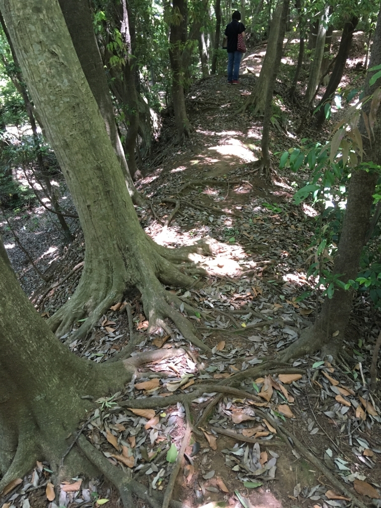 f:id:yuucamp:20170604195502j:plain