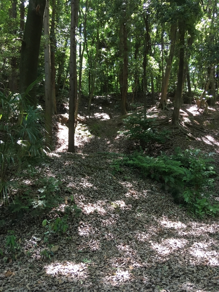 f:id:yuucamp:20170604195758j:plain