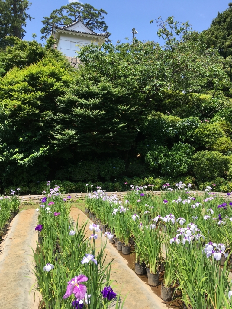 f:id:yuucamp:20170613235944j:plain f:id:yuucamp:20170613235944j:plain