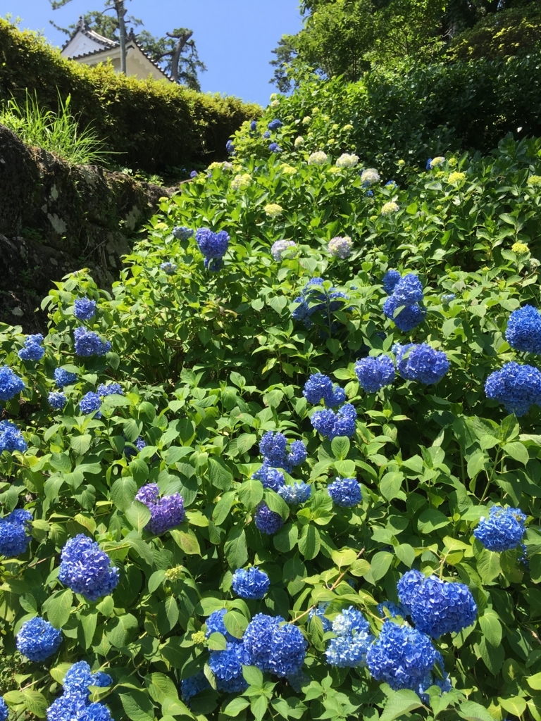 f:id:yuucamp:20170614000621j:plain f:id:yuucamp:20170614000621j:plain