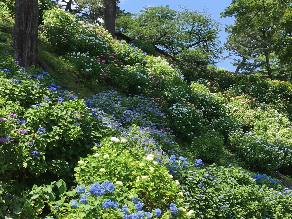 f:id:yuucamp:20170614001149j:plain f:id:yuucamp:20170614001149j:plain