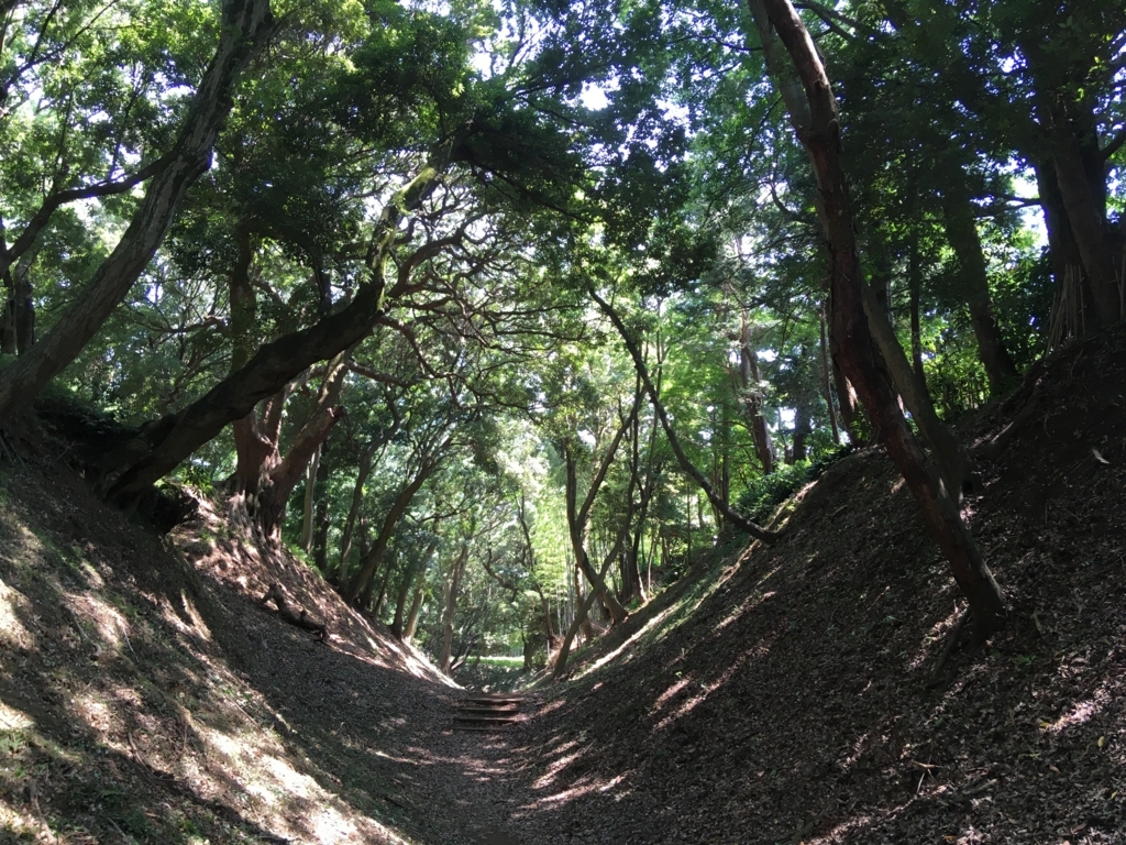 f:id:yuucamp:20170617233131j:plain f:id:yuucamp:20170617233131j:plain