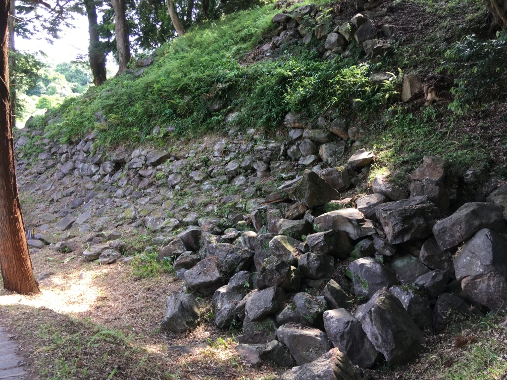 f:id:yuucamp:20170618201303j:plain f:id:yuucamp:20170618201303j:plain