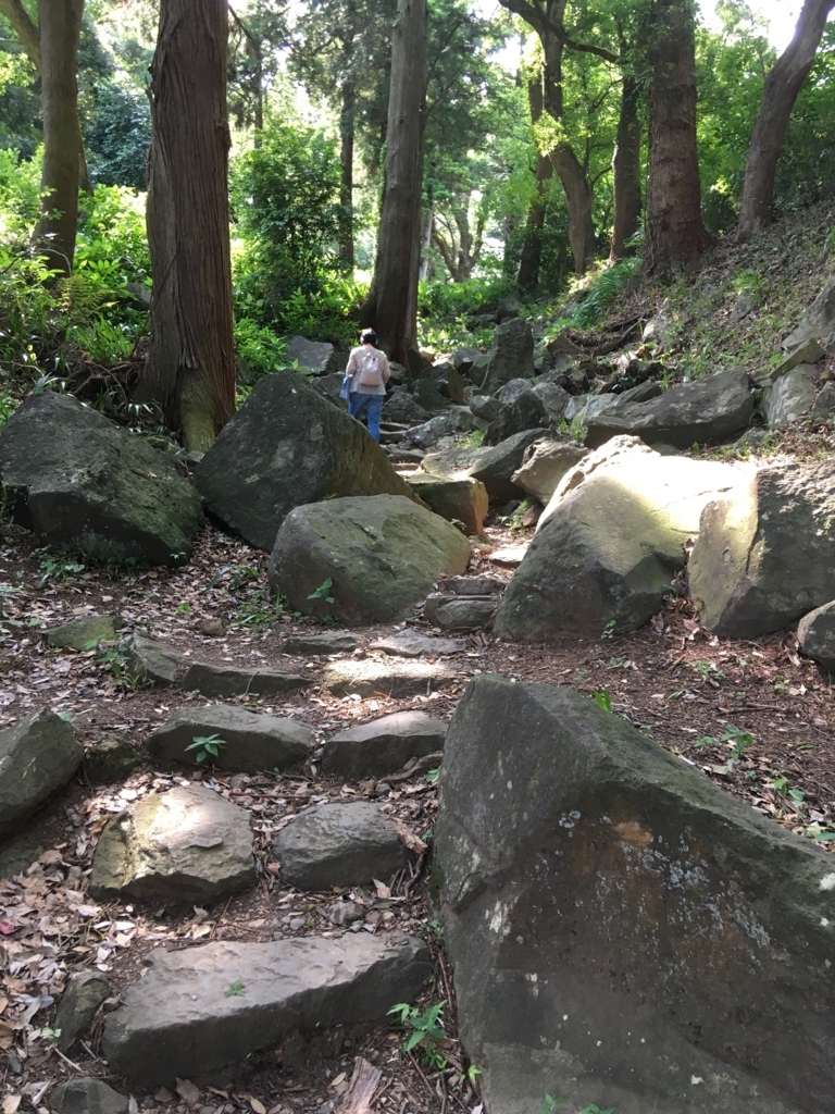 f:id:yuucamp:20170618201712j:plain f:id:yuucamp:20170618201712j:plain