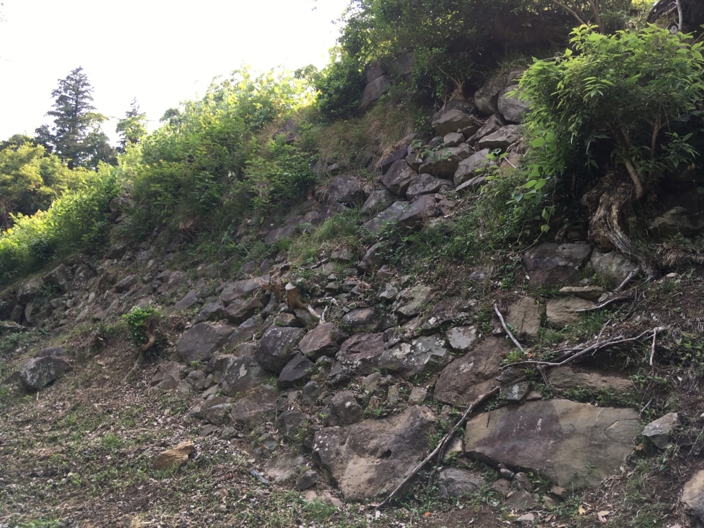 f:id:yuucamp:20170619192151j:plain f:id:yuucamp:20170619192151j:plain