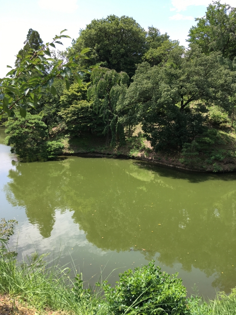 f:id:yuucamp:20170814150913j:plain