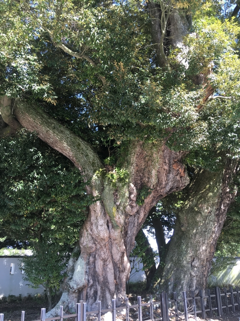 f:id:yuucamp:20170924191711j:plain