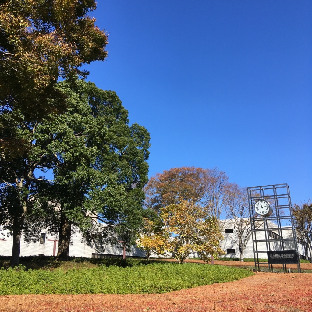 f:id:yuucamp:20171112174744j:plain