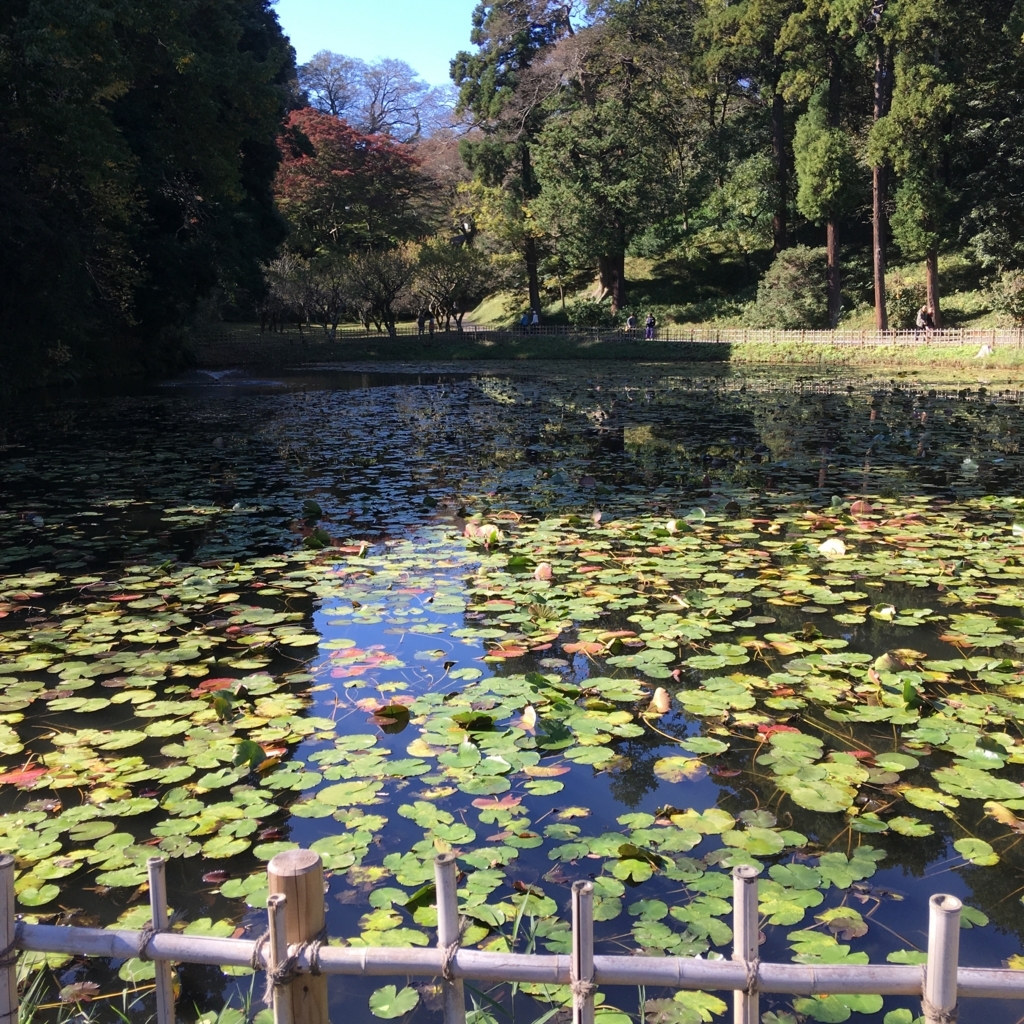 f:id:yuucamp:20171112180519j:plain