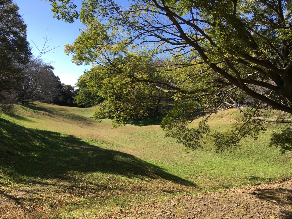 f:id:yuucamp:20171112181438j:plain