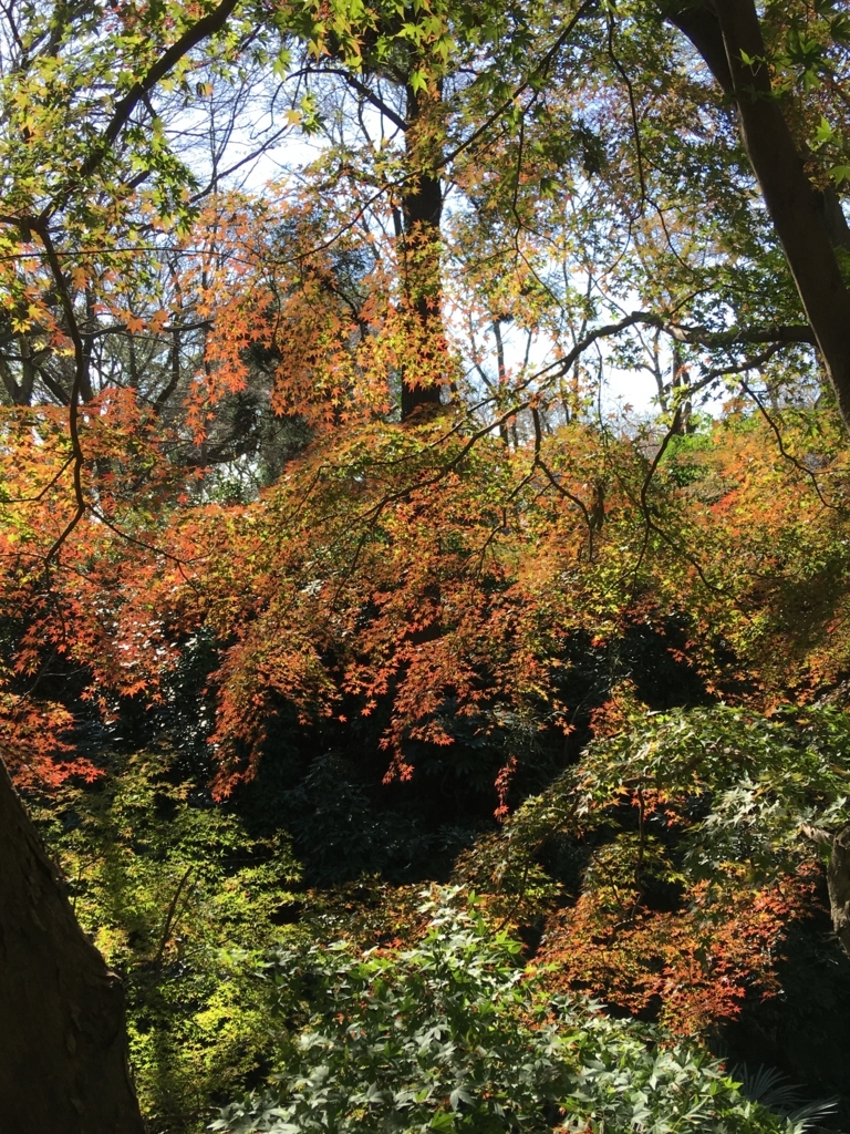 f:id:yuucamp:20171112183235j:plain