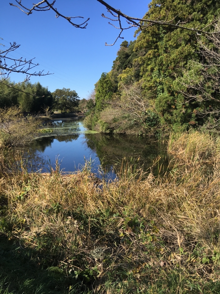 f:id:yuucamp:20171112184840j:plain