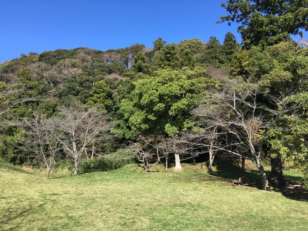 f:id:yuucamp:20171112185221j:plain