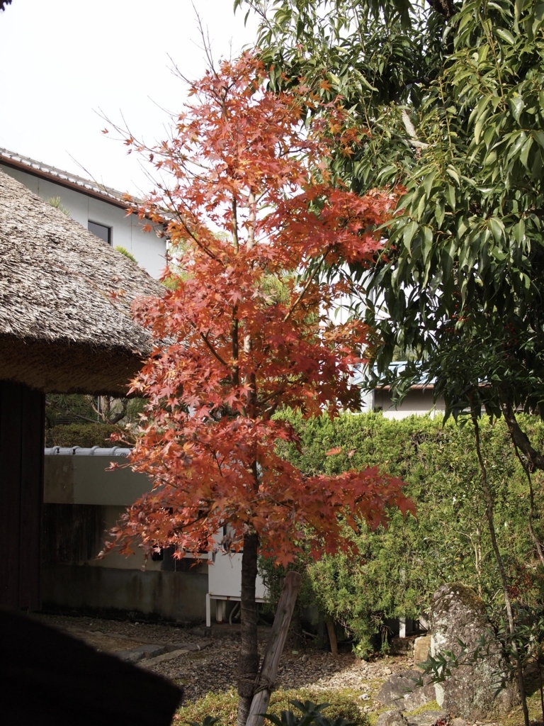 f:id:yuucamp:20171203122142j:plain