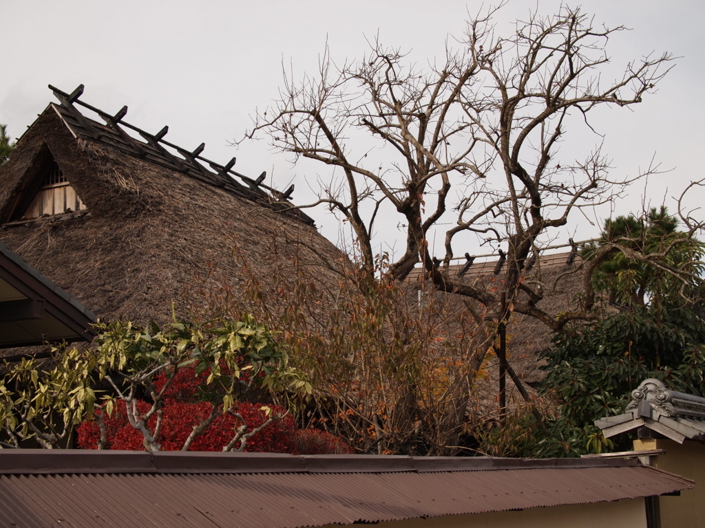 f:id:yuucamp:20171203122326j:plain