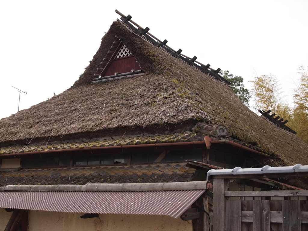 f:id:yuucamp:20171203122645j:plain