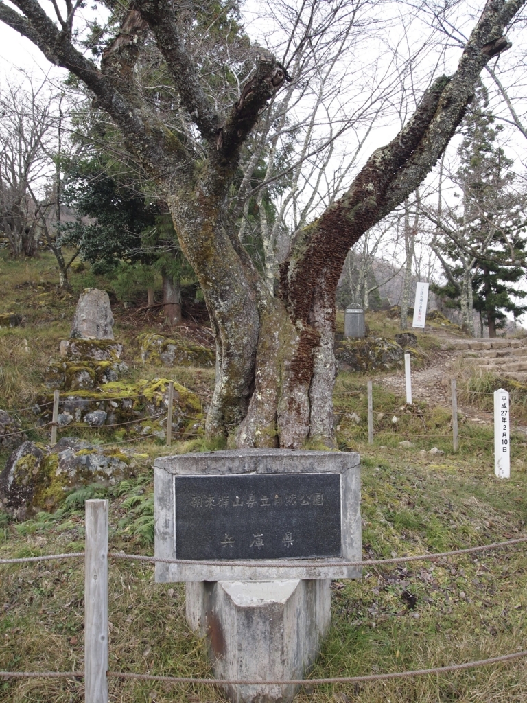 f:id:yuucamp:20171204230435j:plain