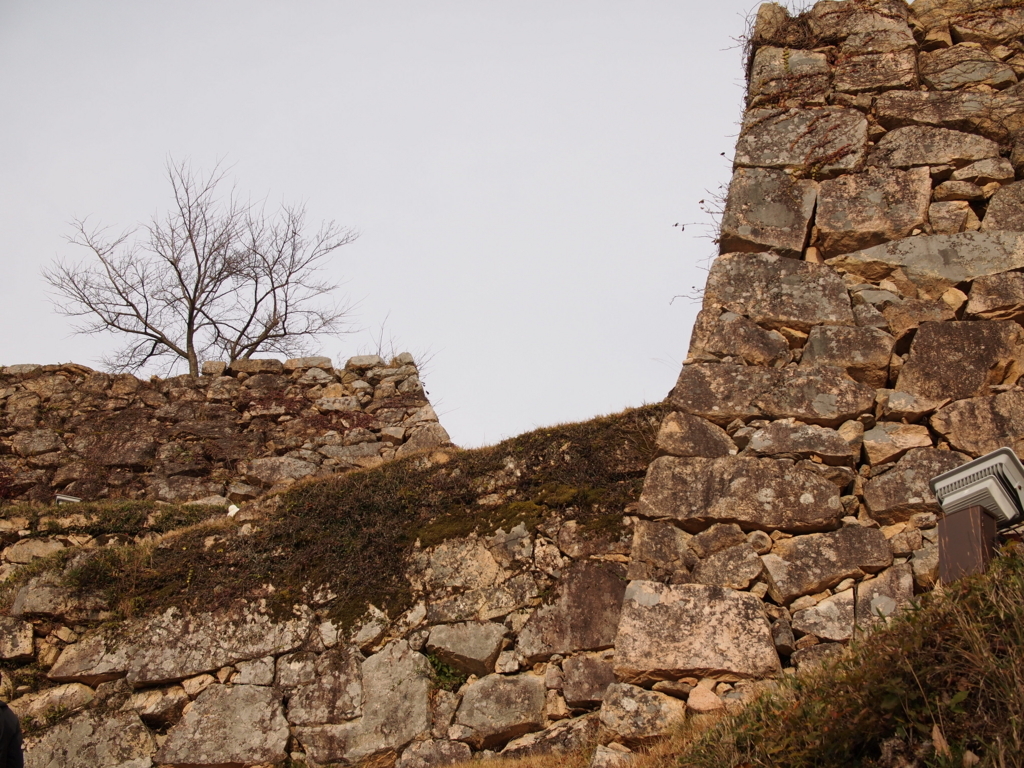 f:id:yuucamp:20171205233813j:plain