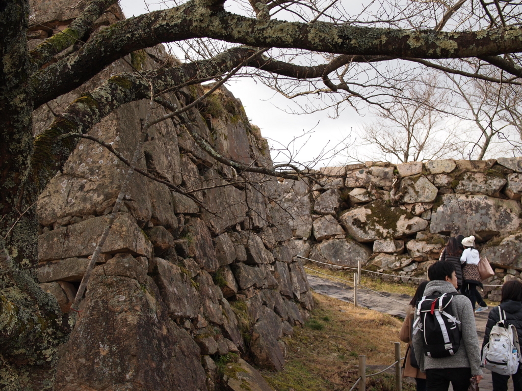 f:id:yuucamp:20171209115108j:plain