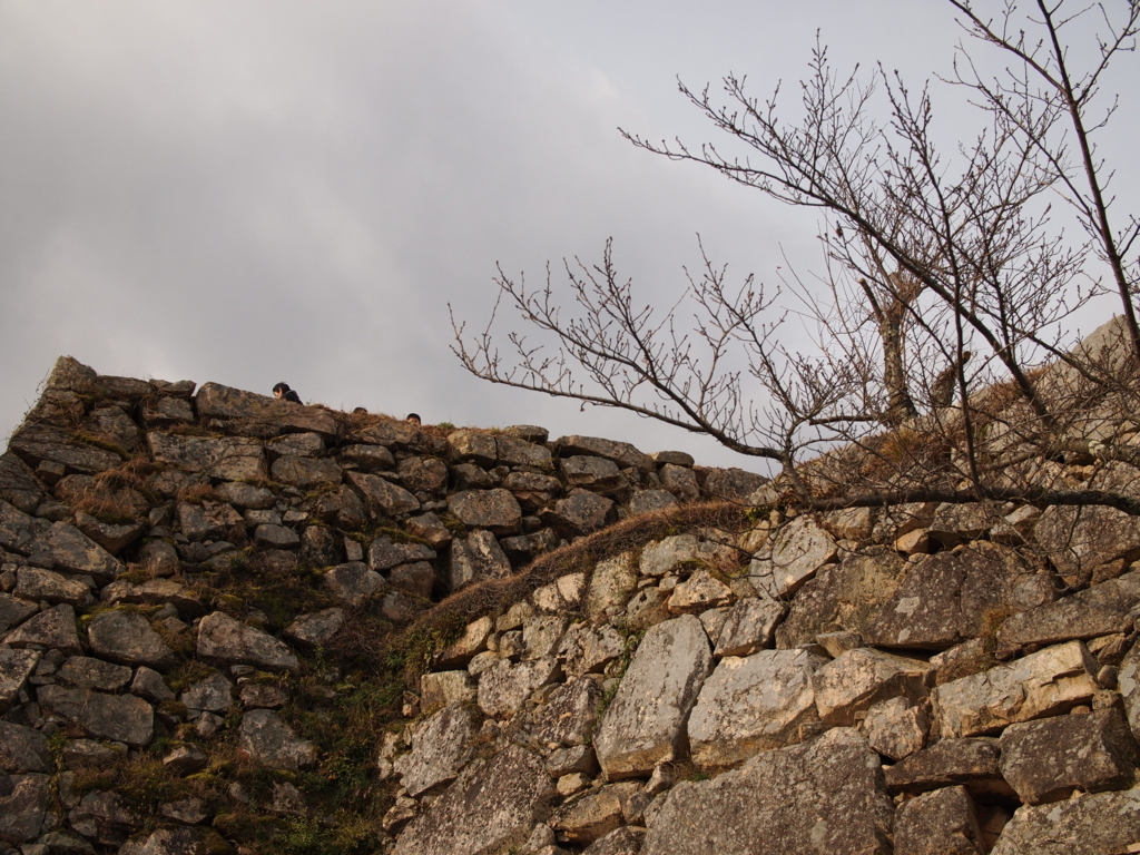 f:id:yuucamp:20171209121329j:plain