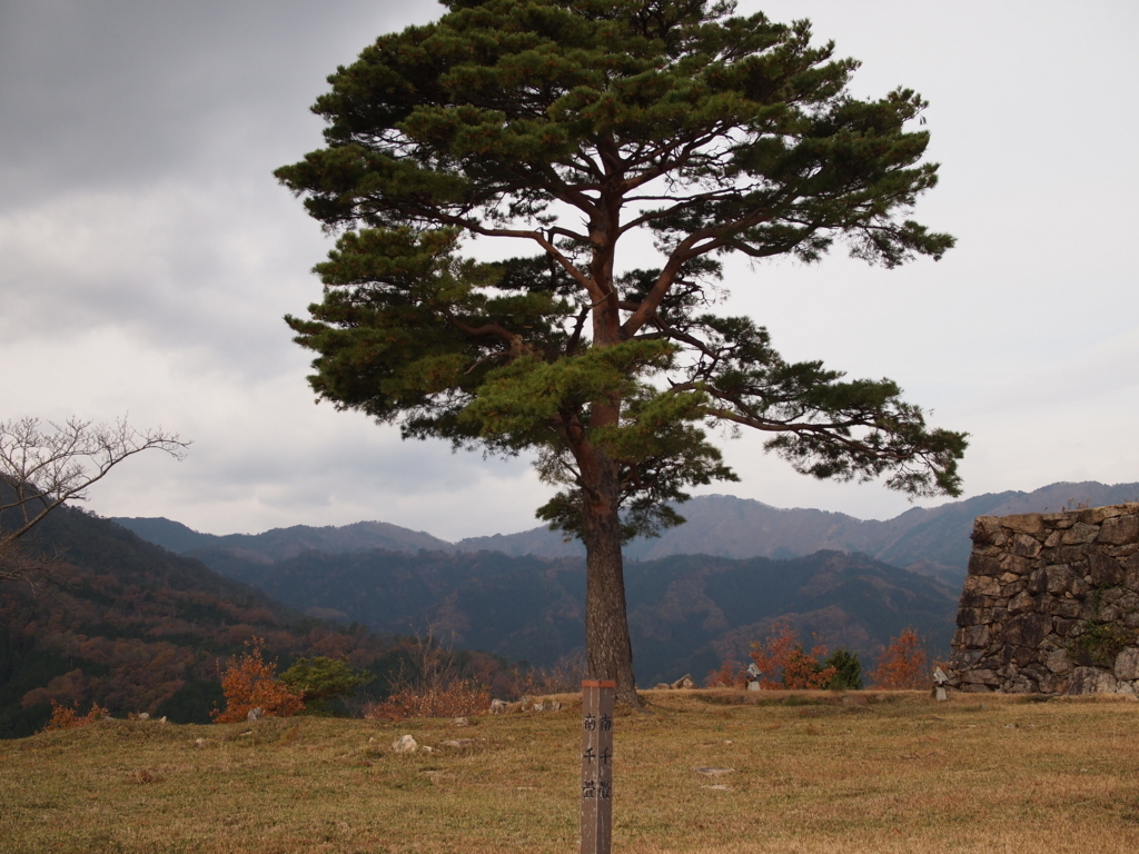 f:id:yuucamp:20171209123009j:plain