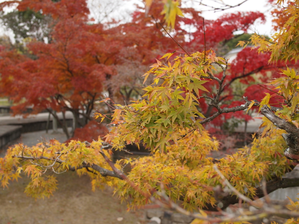 f:id:yuucamp:20171209165027j:plain