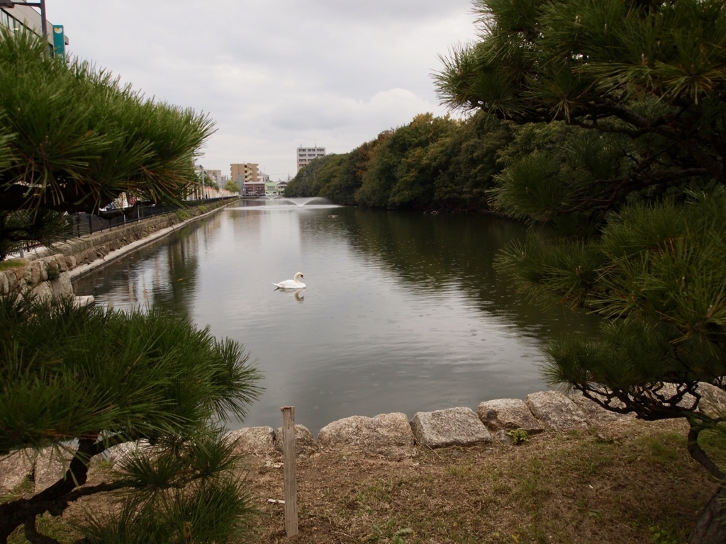 f:id:yuucamp:20171209175808j:plain f:id:yuucamp:20171209175808j:plain