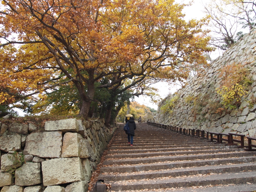 f:id:yuucamp:20171209185234j:plain f:id:yuucamp:20171209185234j:plain