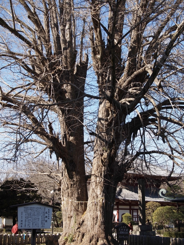 f:id:yuucamp:20180120142017j:plain