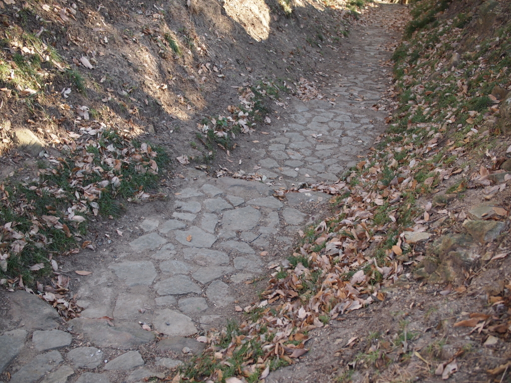 f:id:yuucamp:20180120155132j:plain