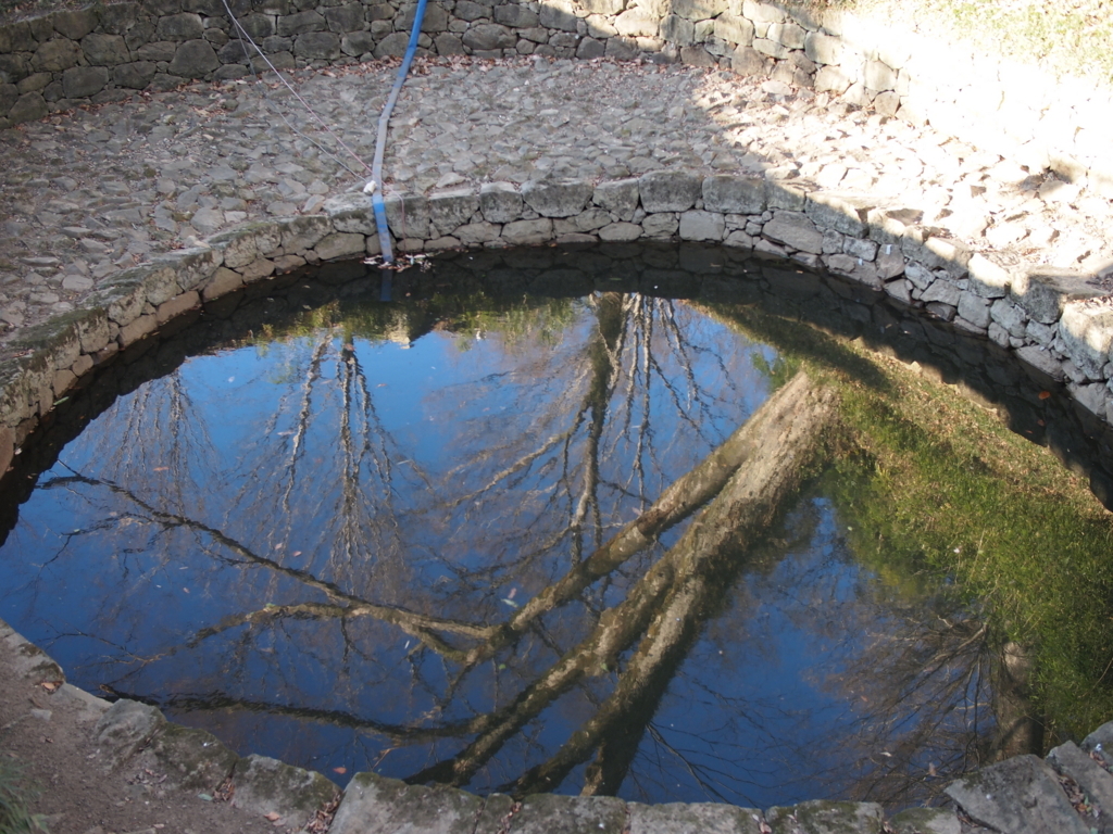 f:id:yuucamp:20180120160434j:plain