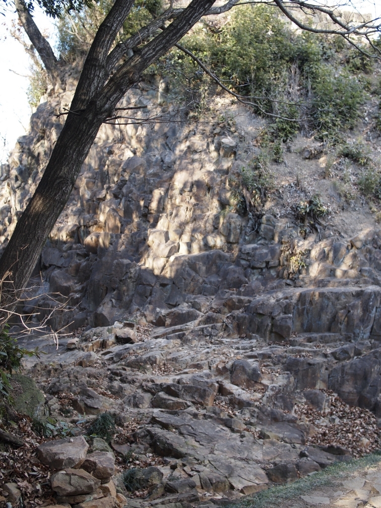 f:id:yuucamp:20180121161020j:plain