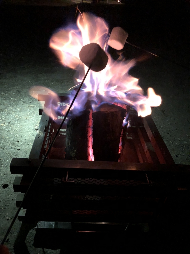 f:id:yuucamp:20180602111200j:plain f:id:yuucamp:20180602111200j:plain