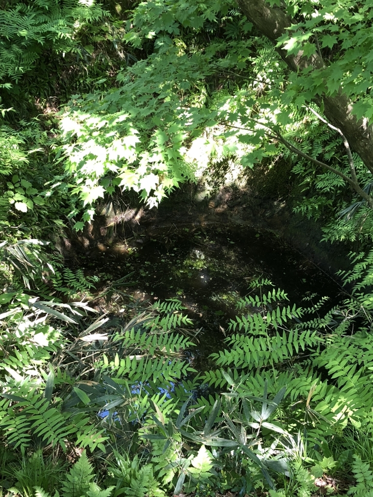 f:id:yuucamp:20180602130621j:plain