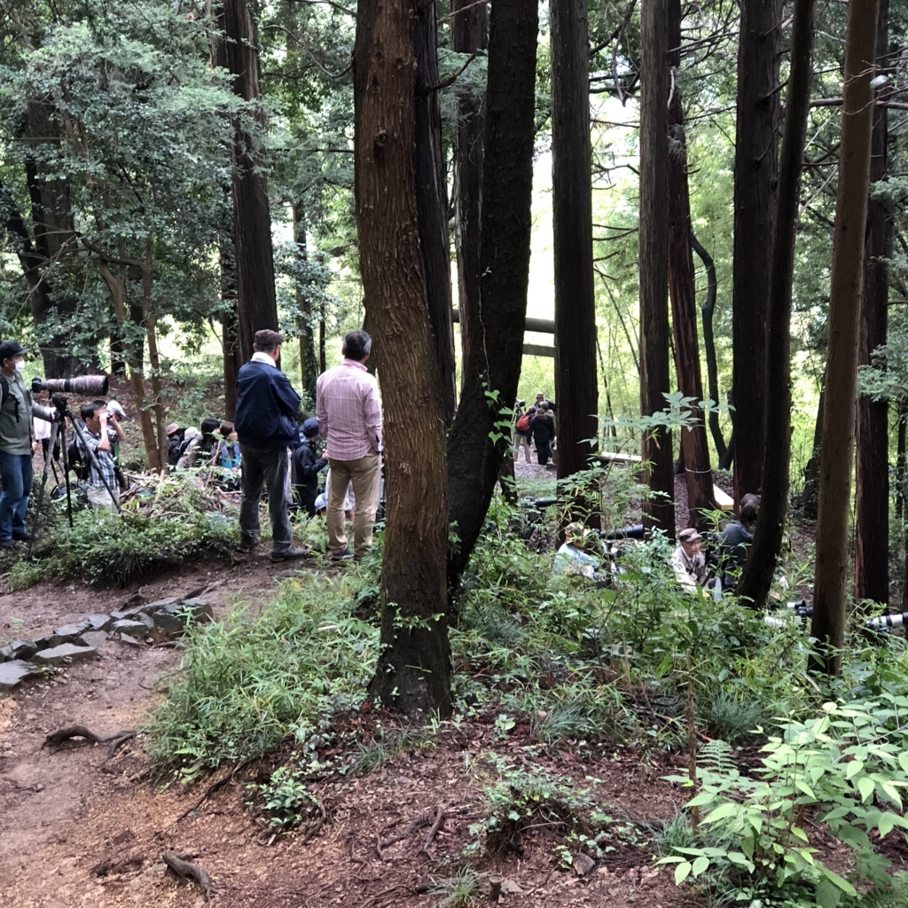 f:id:yuucamp:20180630202311j:plain f:id:yuucamp:20180630202311j:plain