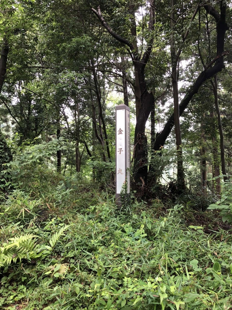 f:id:yuucamp:20180630202629j:plain f:id:yuucamp:20180630202629j:plain