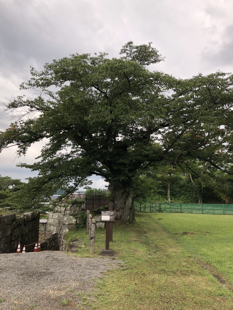 f:id:yuucamp:20180818005909j:plain