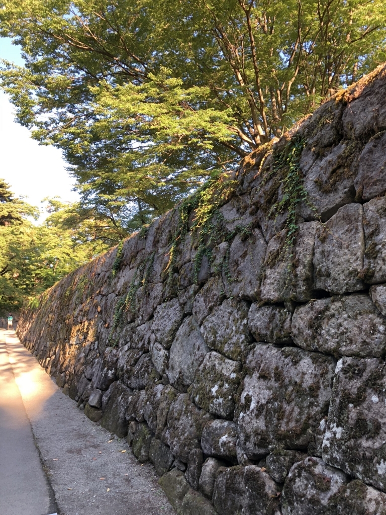 f:id:yuucamp:20180818194752j:plain f:id:yuucamp:20180818194752j:plain