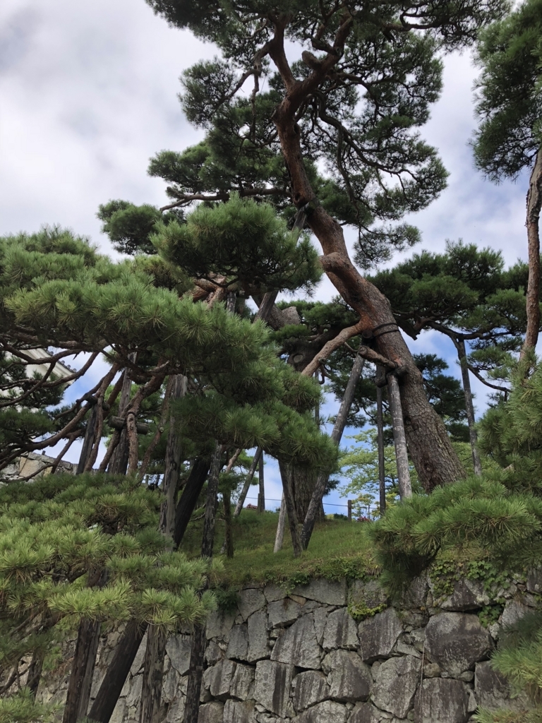 f:id:yuucamp:20180818225737j:plain