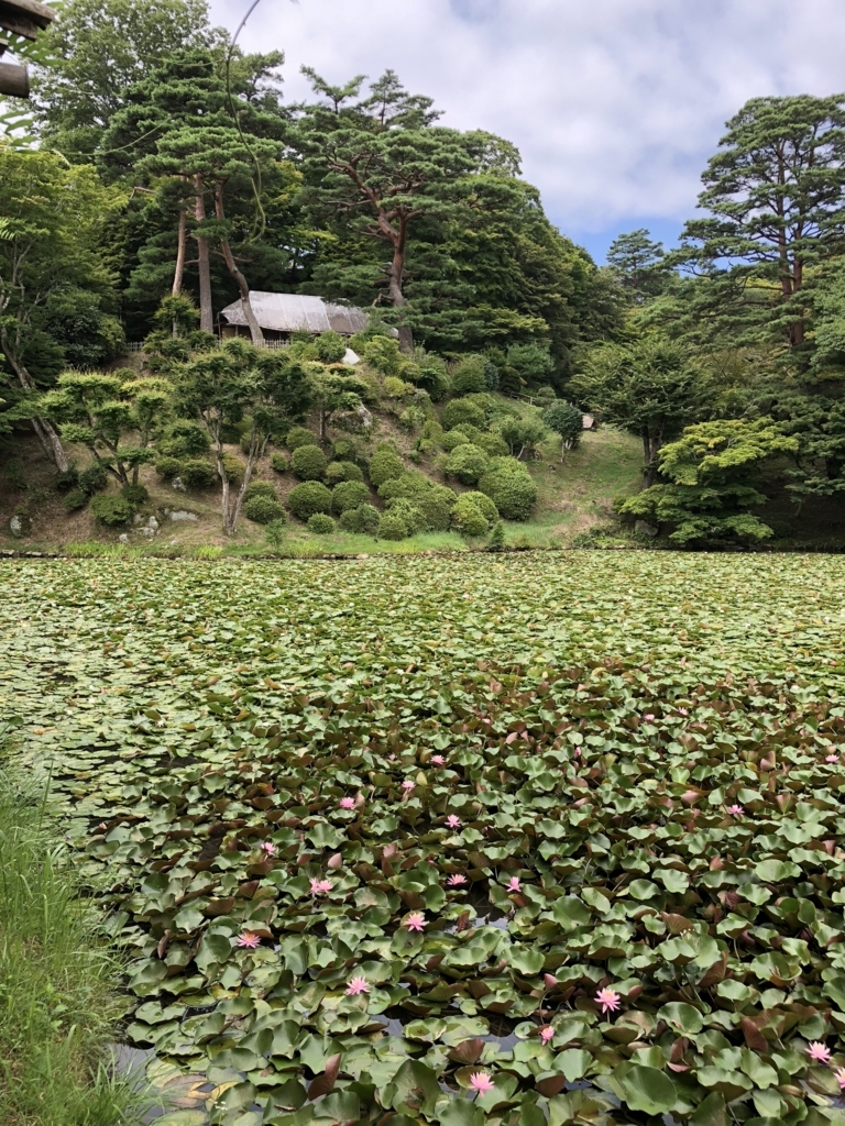 f:id:yuucamp:20180818230147j:plain