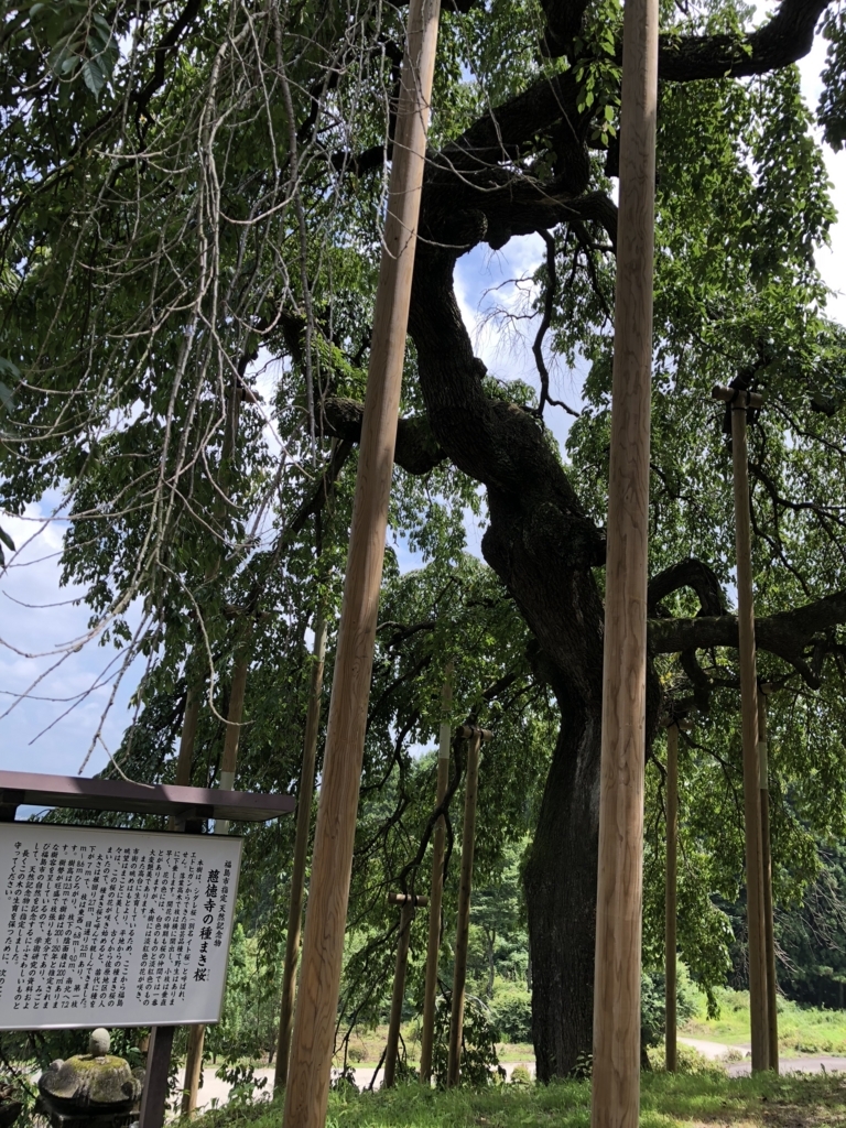 f:id:yuucamp:20180819000523j:plain