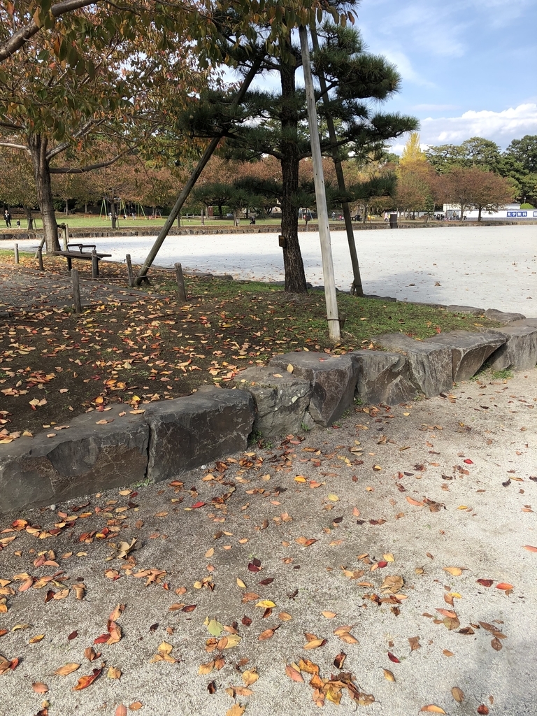 f:id:yuucamp:20181125155231j:plain