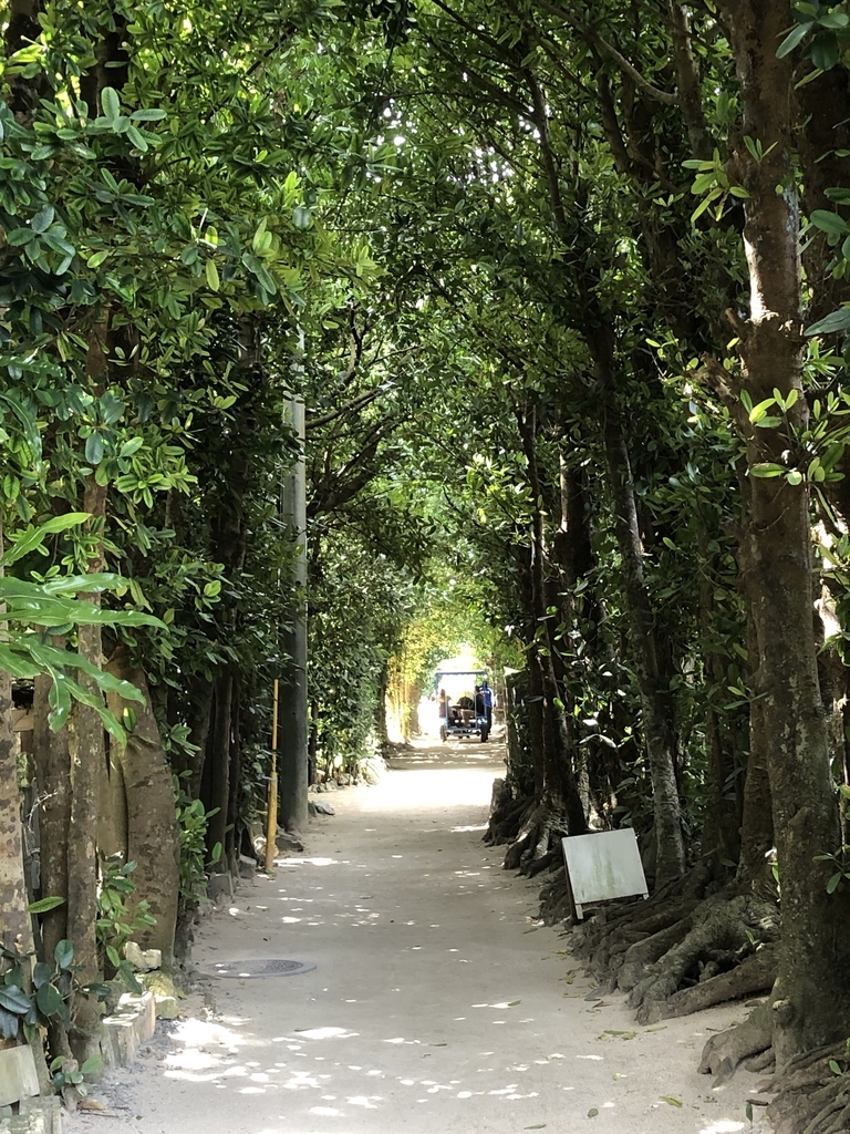 f:id:yuucamp:20190129155245j:plain f:id:yuucamp:20190129155245j:plain