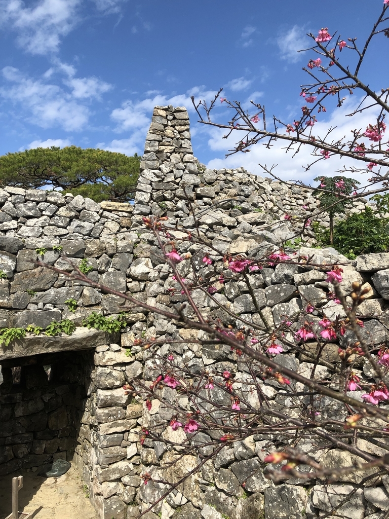 f:id:yuucamp:20190129162525j:plain f:id:yuucamp:20190129162525j:plain