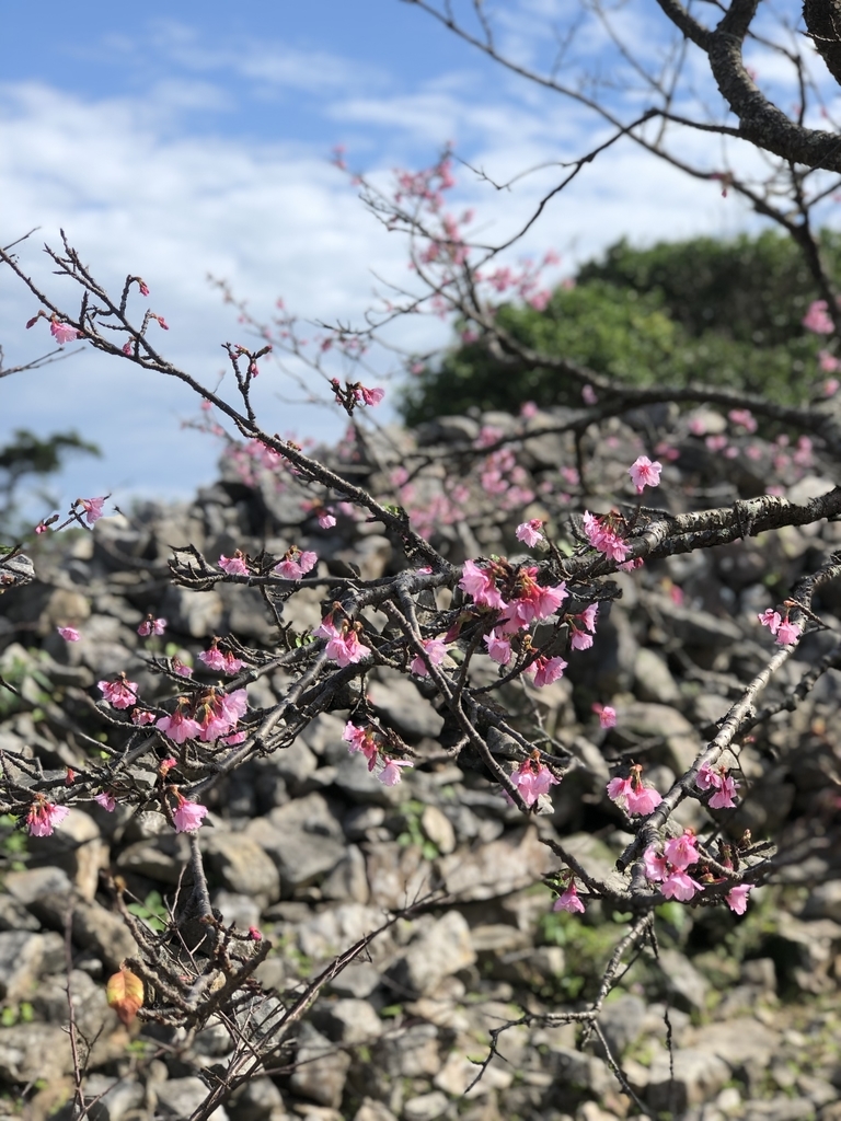 f:id:yuucamp:20190129162618j:plain f:id:yuucamp:20190129162618j:plain